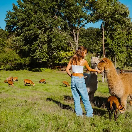 Otel Seeberg Františkovy Lázně