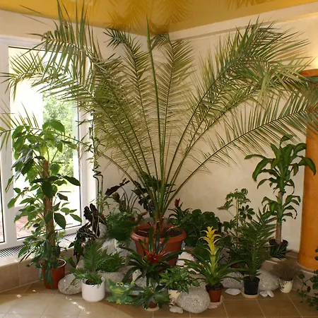 Seeberg 3* Frantiskovy Lazne