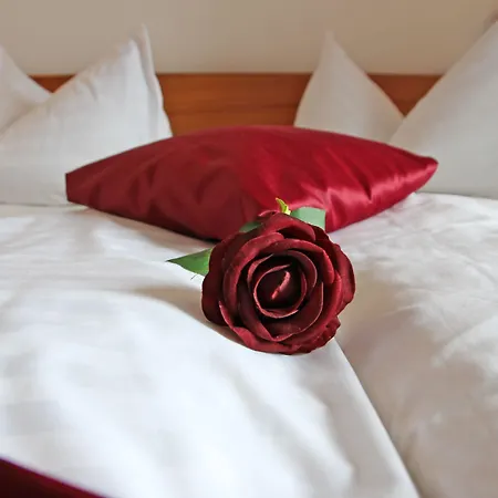 Seeberg Hotel Frantiskovy Lazne