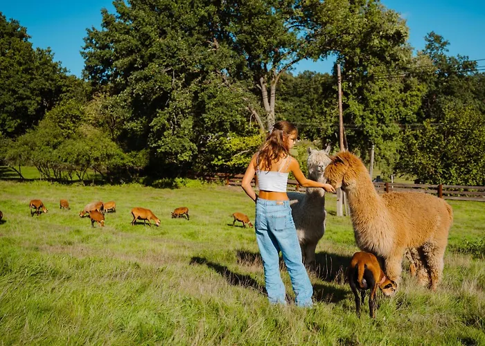 Hotel Seeberg Františkovy Lázně
